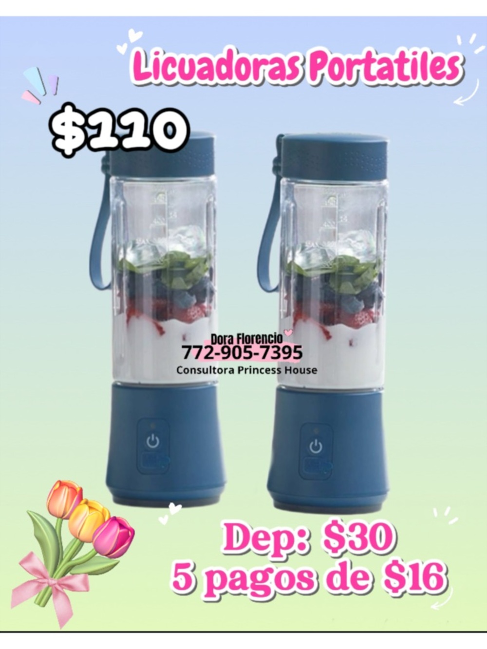 Princess House Portable Blender - Blue